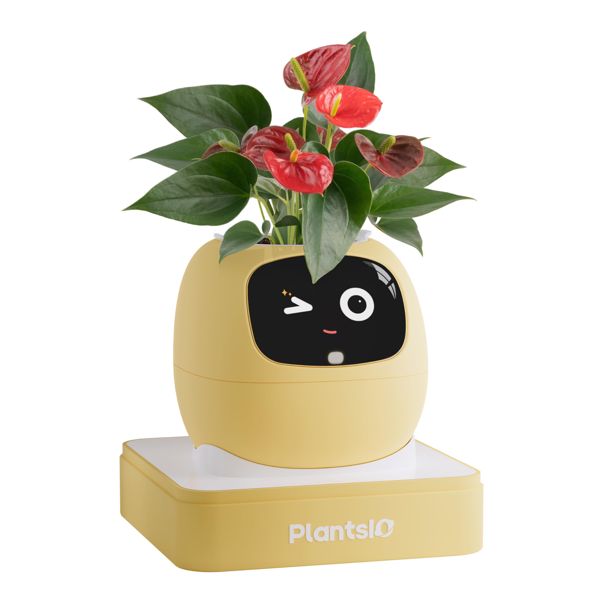 Amazon.co.jp: PLANTSIO アイビー インテリジェントフラワーポット